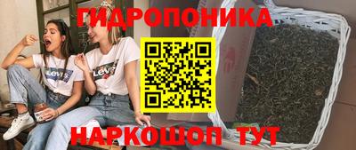прущие грибы Партизанск