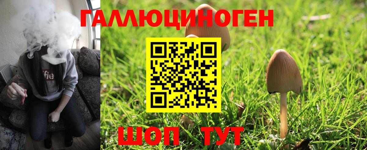 Советский  Галлюциногенные грибы Cubensis  Вход с VPN  Галлюциногенные грибы Psilocybe 