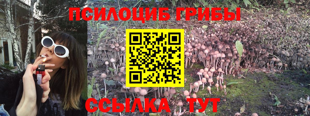 Псилоцибиновые грибы MAGIC MUSHROOMS Советский